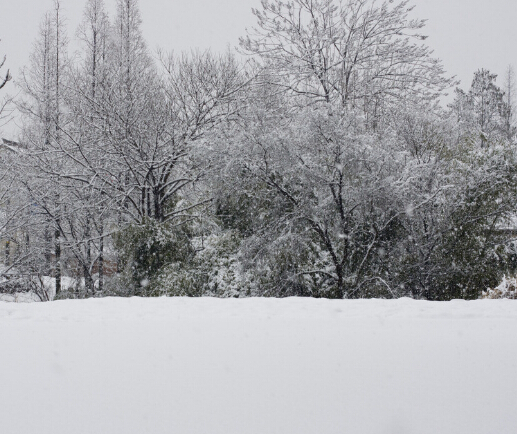  梦见雪征兆