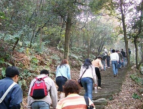 上山、爬山