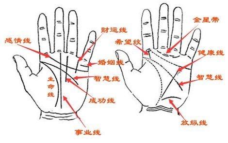 手相揭示命运，拥有这五种手相的人非富即贵，命运极好！