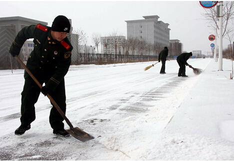 梦见铲地雪