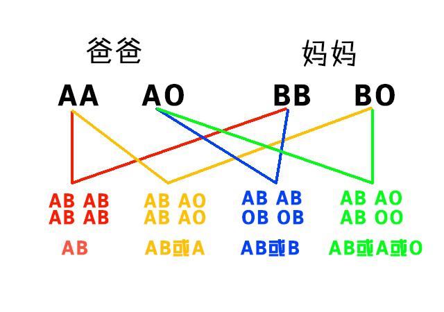 妈妈是o型血,宝宝不会是ab型血,这些血型遗传规律你知道吗?