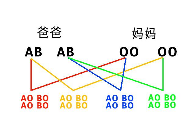 妈妈是O型血，宝宝不会是AB型血，这些血型遗传规律你知道吗？