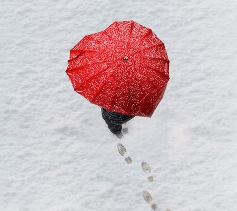  梦见白雪融化