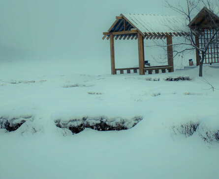  梦见清理雪推