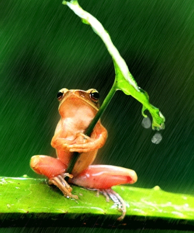  梦见下着大雨