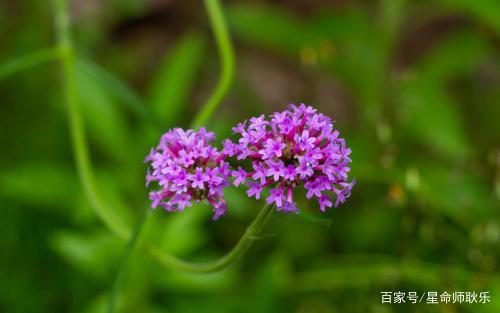 能痛快去爱，也能守住孤寂，可以进退自如的三个星座