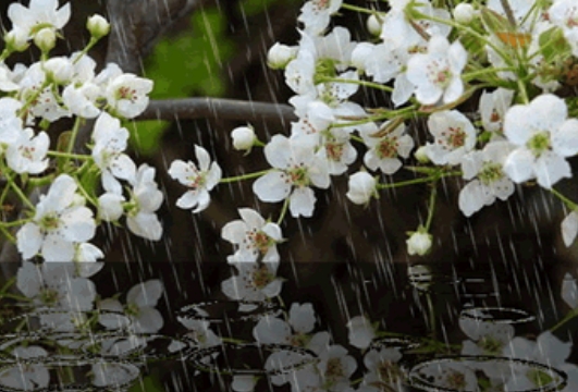  梦见下雨水大