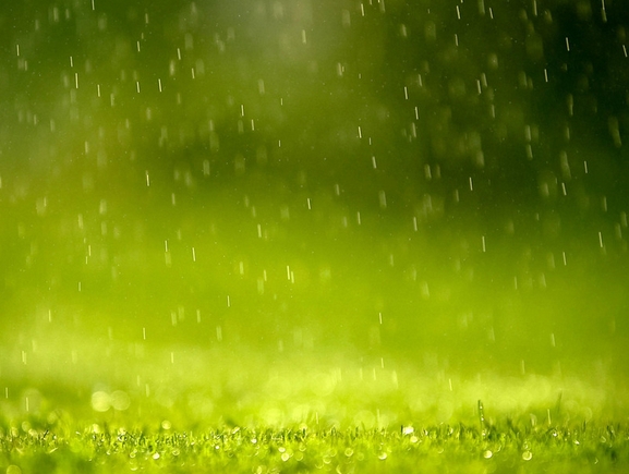  梦见春雨意思