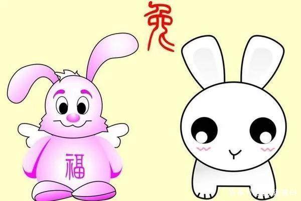 生于这两年的“属兔人”，都是命苦，真可怕！