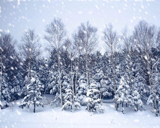  梦见下雪意思