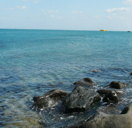  梦见看海浪