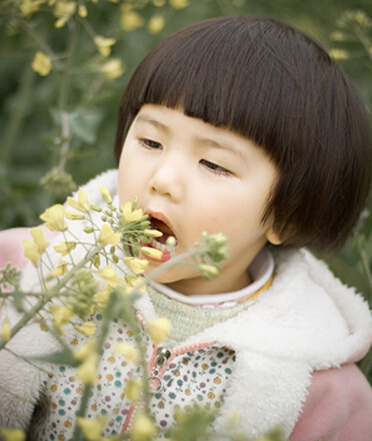  梦见捡花瓣