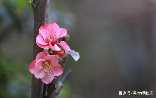 能痛快去爱，也能守住孤寂，可以进退自如的三个星座