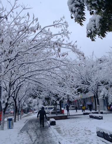  梦见下着白雪