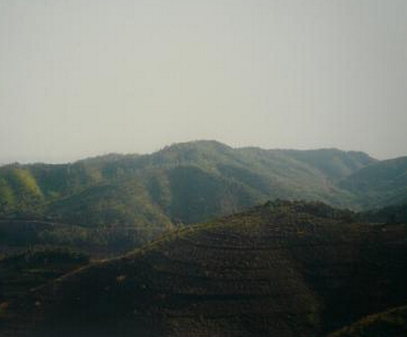  山地墓地风水怎么看