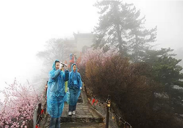  梦见山顶下雨