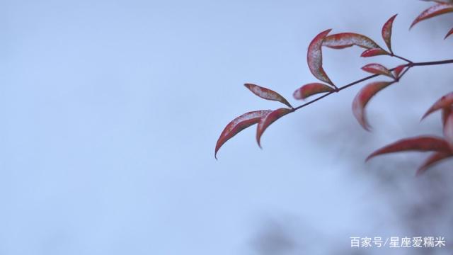 揭秘：处女座喜欢一个人时，原来是这样，你被这样的处处撩过吗？