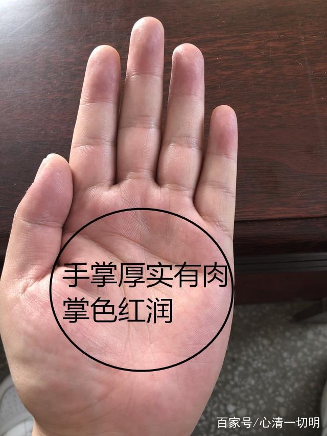 这种手相特征的人比较有福气