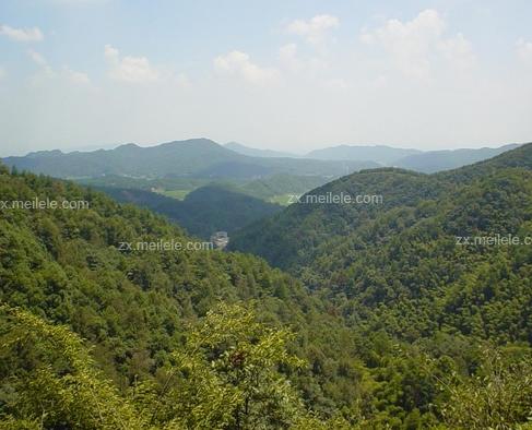  毛主席风水祖坟风水