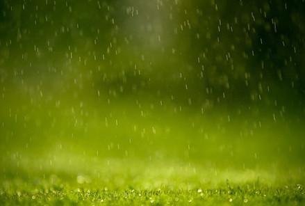  梦见山上下雨