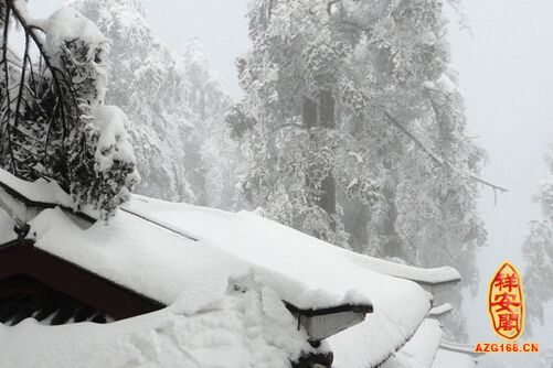 梦见厚厚的雪