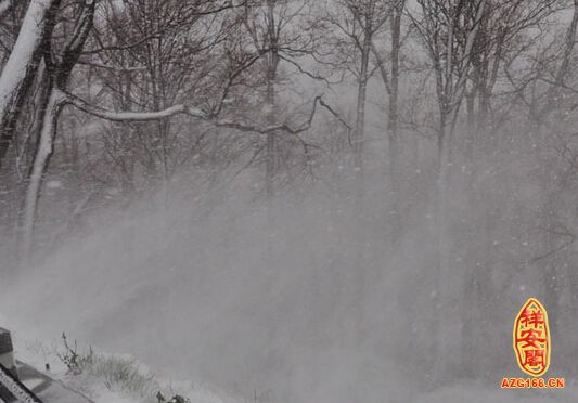 梦见下暴雪