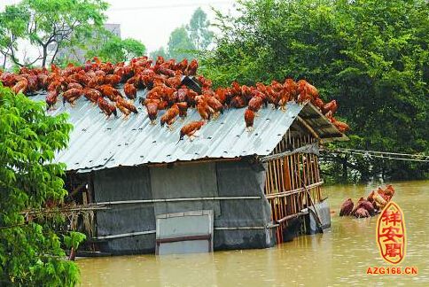 梦见躲避洪水