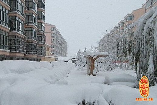 梦见遍地是雪