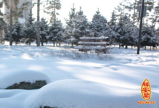 梦见满地的雪