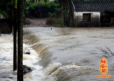 梦见大雨大水