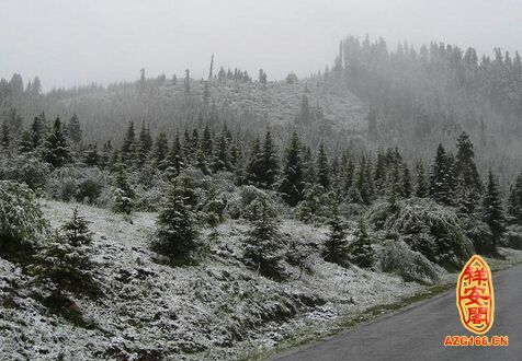 梦见六月下雪