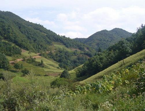  农村阳宅风水禁忌大全