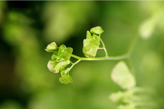 7月中旬财运上升，发财机会多多，贵人多帮助，升职加薪的生肖