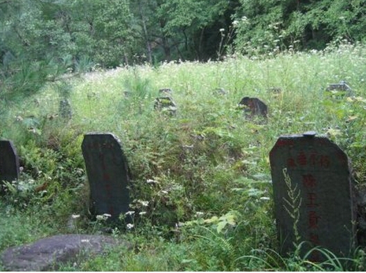 坟墓长草风水