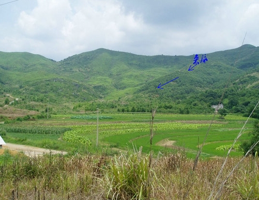 坟墓风水宝地形状，选择好的风水坟墓宝地