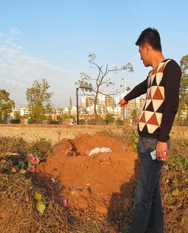 祖坟被破坏被挖该怎么办