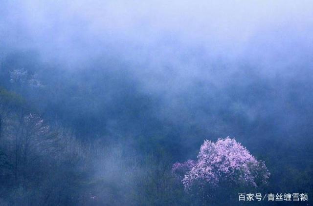 天秤座：一束致山河，一笑致明天，愿你每天都开心