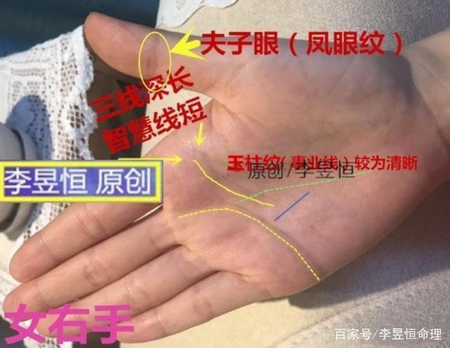 看相大全 手相 智慧线 —李昱恒/文 第一,夫子眼女人旺夫益子,男性