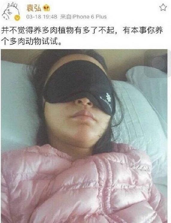 订婚四个月，向佐面相越来越善，郭碧婷仙气不再，向太这盘棋厉害