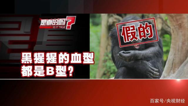 动物原来也分不同血型！除了黑猩猩、长臂猿，竟然还有……