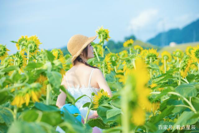 12星座不爱的原因，除了爱情，生命还有其他回响