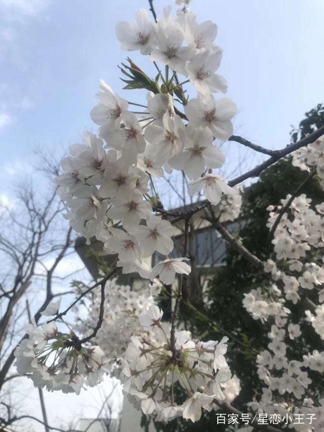 对宫星座分析之处女座和双鱼座