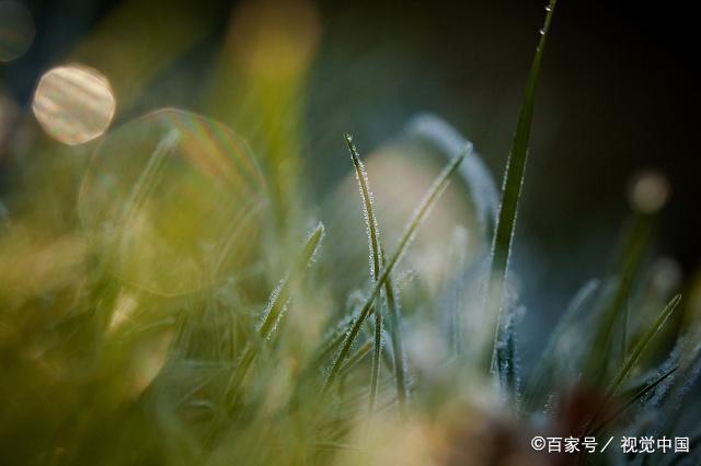 「诗词鉴赏」夏天的雨落在古诗词里，浸润了谁的流年？