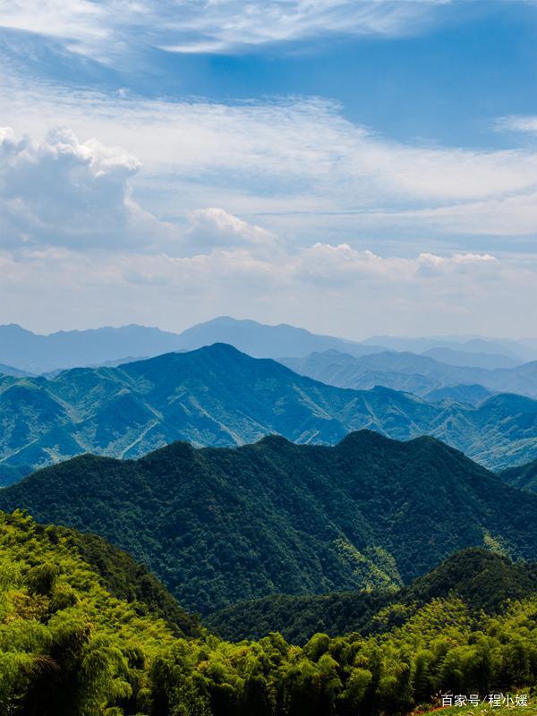 双鱼座：众生皆草木，唯你是青山