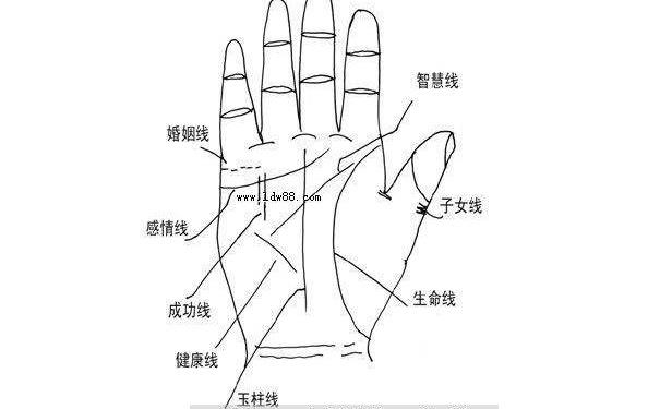 手相图解大全中关于财运线的解析，从手相中的财运线看一个人命运