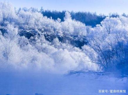 摩羯座：南墙我撞了，故事我忘了