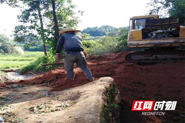 湘乡市月山镇：抗高温通水渠 打通灌溉生命线