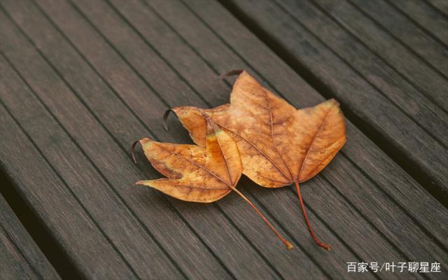 十二星座最看重异性什么品质？水瓶座看重内涵，摩羯座喜欢爽快