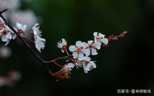 其实很深情，却爱压抑情感的星座，对你有好感，也能故作冷静