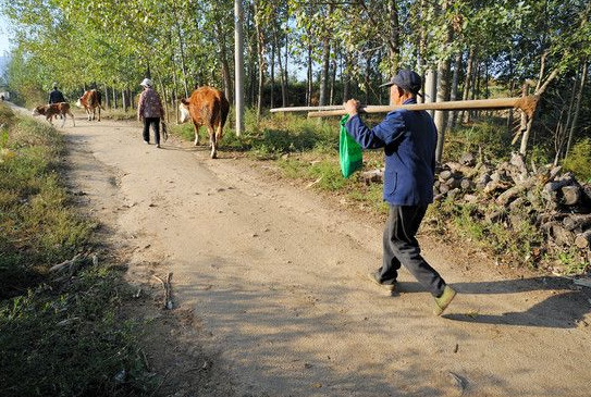 俗语“好男属鸡命不强，好女属羊守空房”老祖宗的话有道理吗？